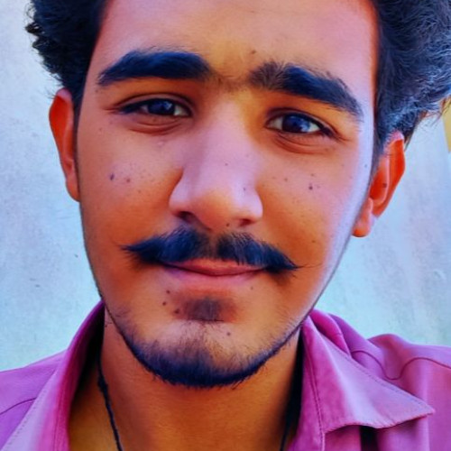 Muhammad  S. profile photo