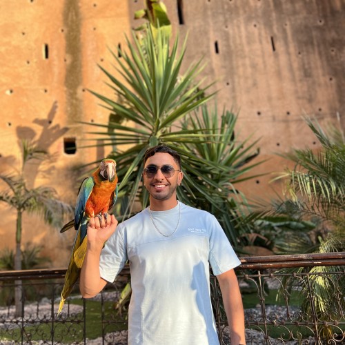Mehdi A.