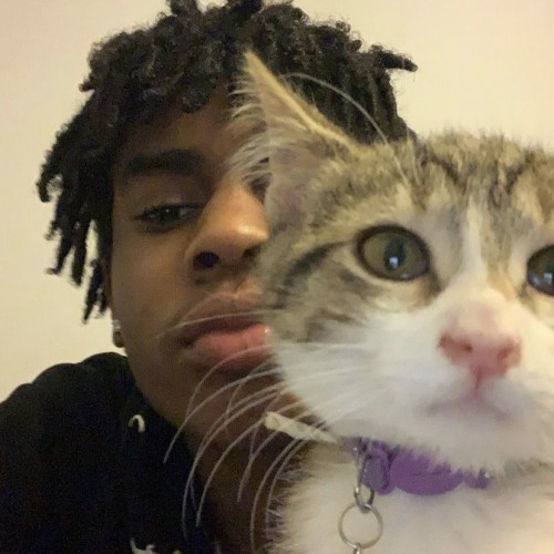 qbands01 J. profile photo