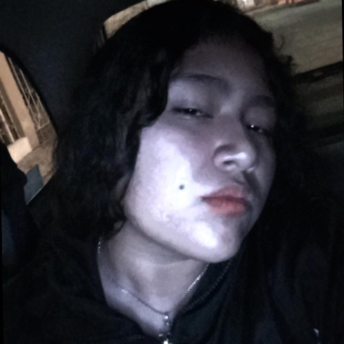 Dannai S. profile photo