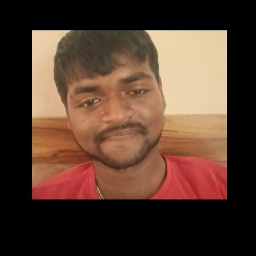 Shlok P. profile photo