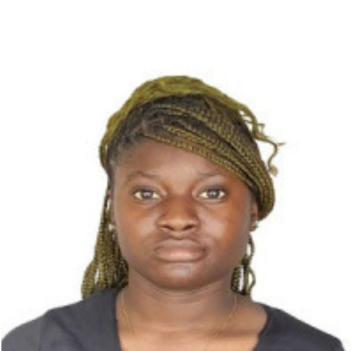 Famuyiwa  B. profile photo