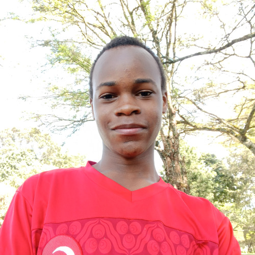 Johnson  N. profile photo