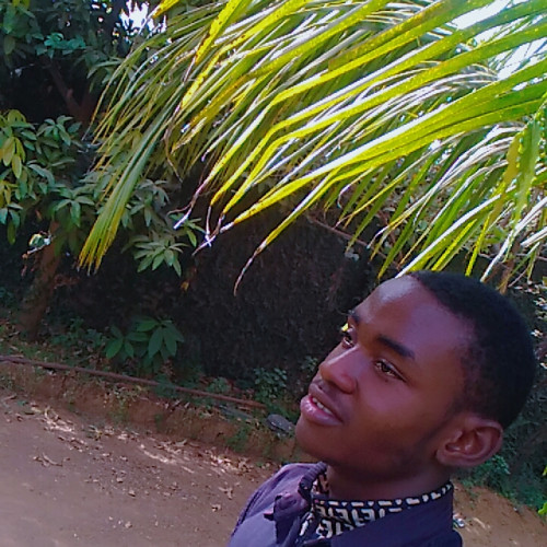 Ikembuchi  E. profile photo