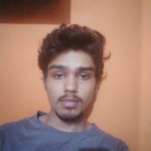 Ansh G.