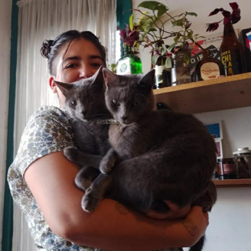 Dani S. profile photo