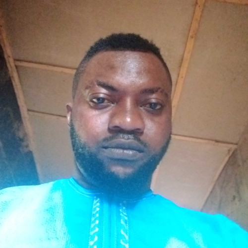 Ola T. profile photo