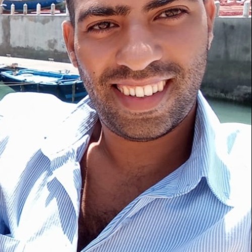   Hicham H.
