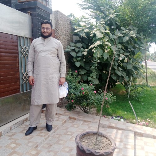 Amanullah S. profile photo