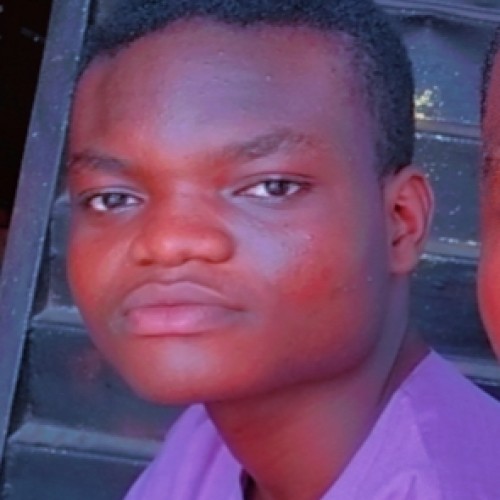 Oluwadamilare  K.