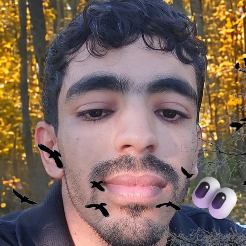 Chris D. profile photo