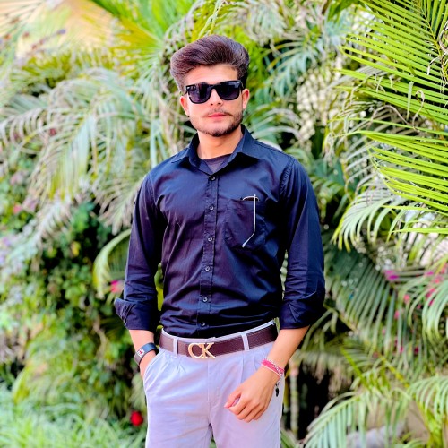 Ankit S.