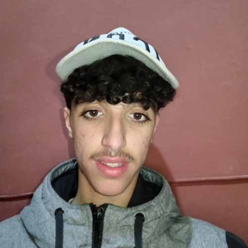 Mehdi T. profile photo