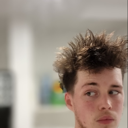 Max M. profile photo