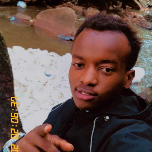 peter i. profile photo