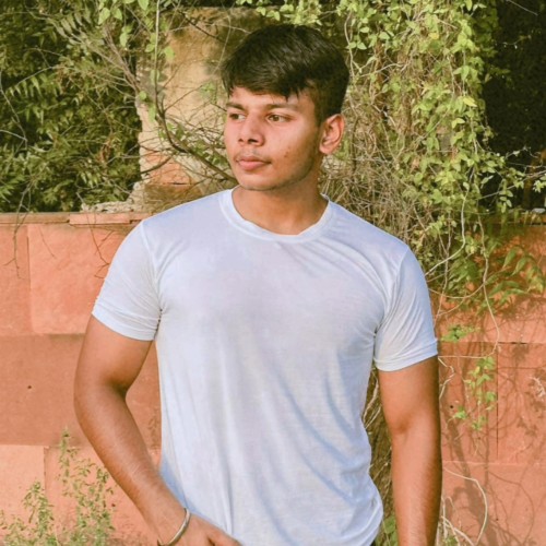Aryan S.