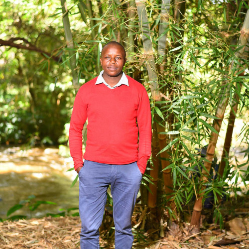 Martin M. profile photo