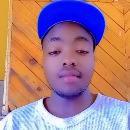 Alex N. profile photo