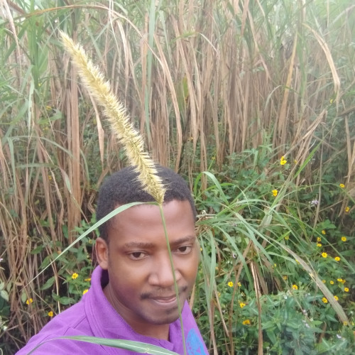 alain geoffroy n. profile photo