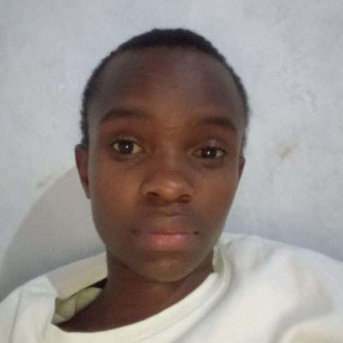 Lincoln D. profile photo