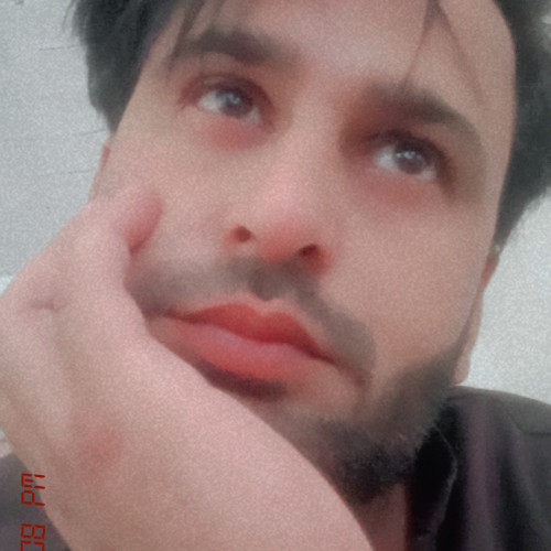 Bilawal D. profile photo