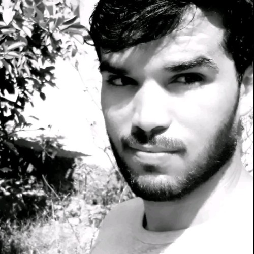 Richard M. profile photo