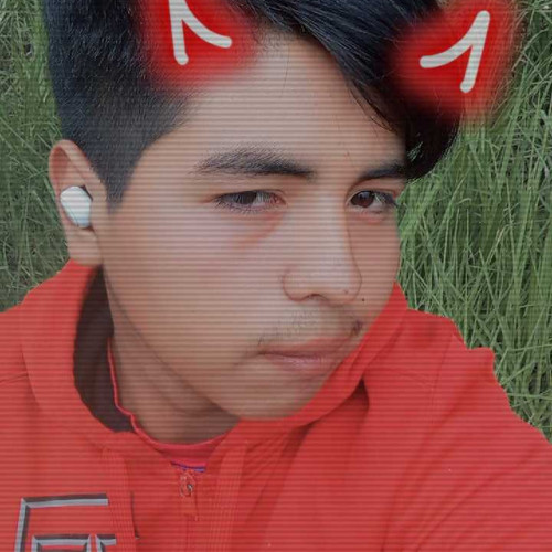 Andy L. profile photo