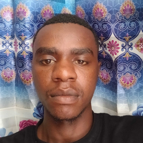 Linkstone s. profile photo