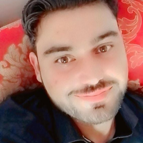 Mehmood S. profile photo