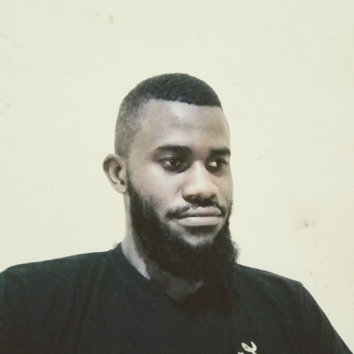 Steve M. profile photo