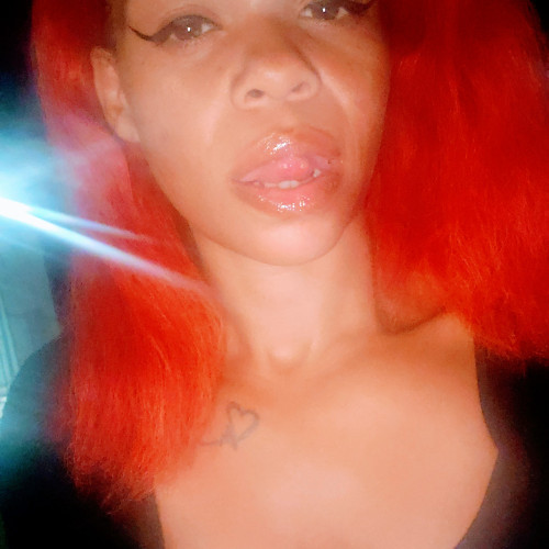 Alisha C. profile photo