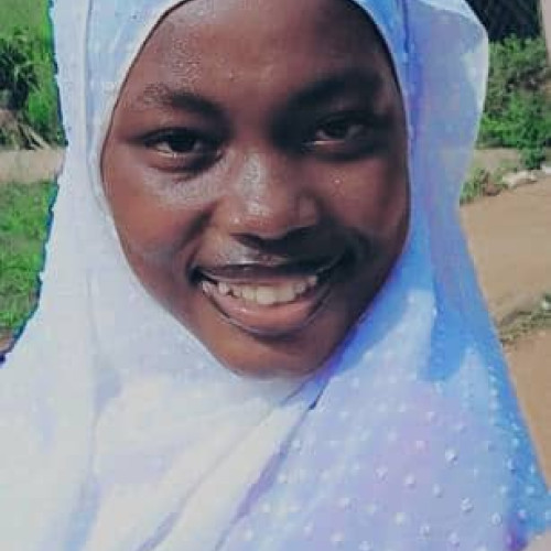 Akinsanya N.