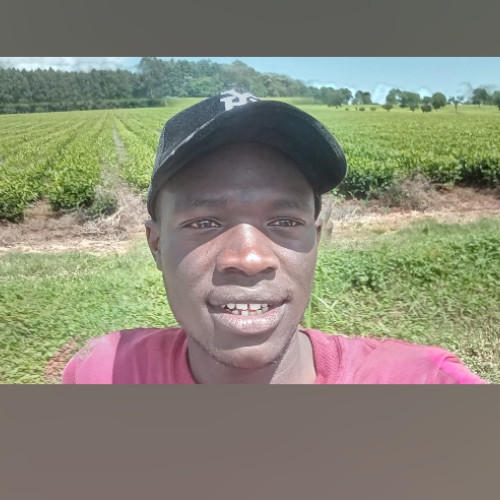 Emmanuel K. profile photo