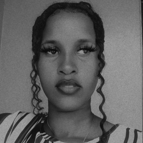 lisa n.