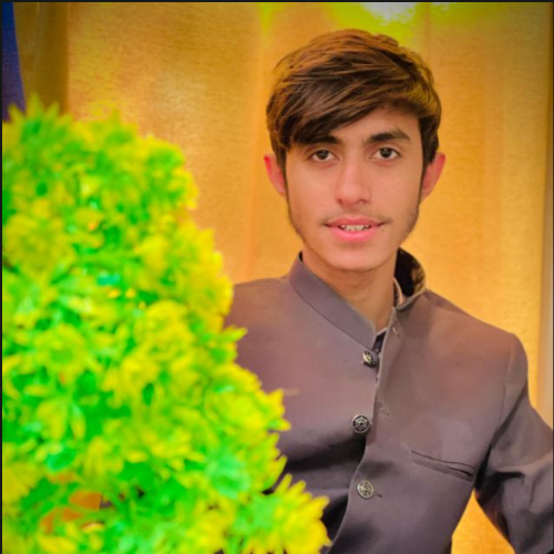 huzaifa s. profile photo