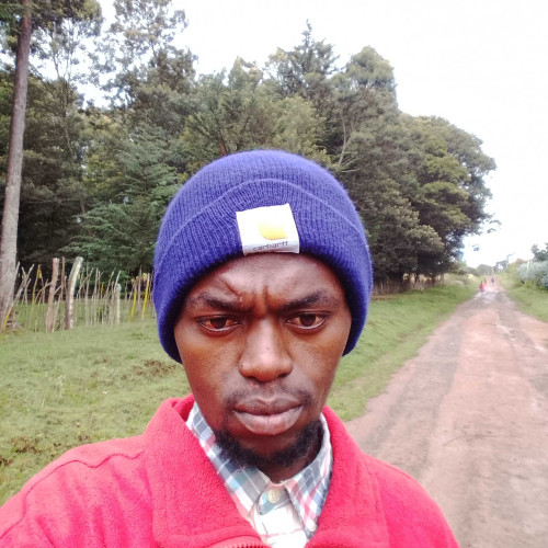 Peter T. profile photo