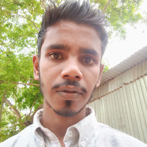 Sanjoy  R. profile photo