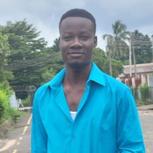 iheanyichukwu O. profile photo