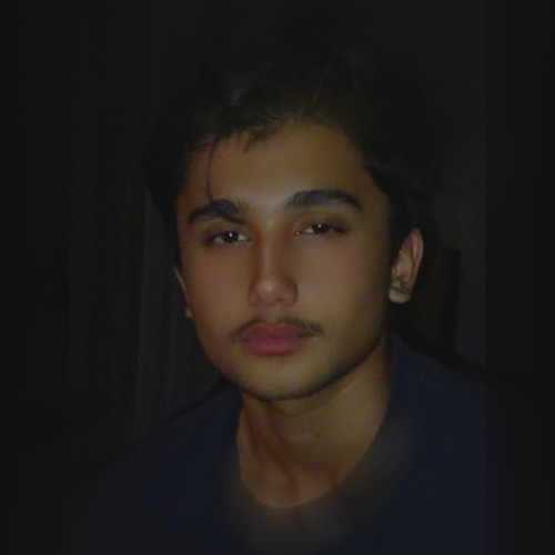 Wajih  N. profile photo
