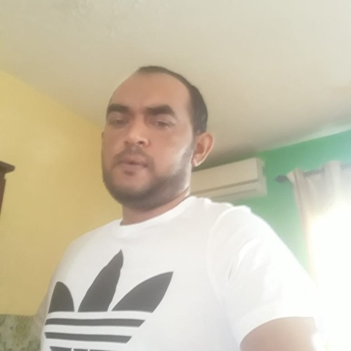 Gajadhur T.