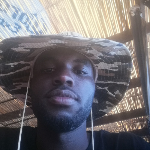 Tal J. profile photo