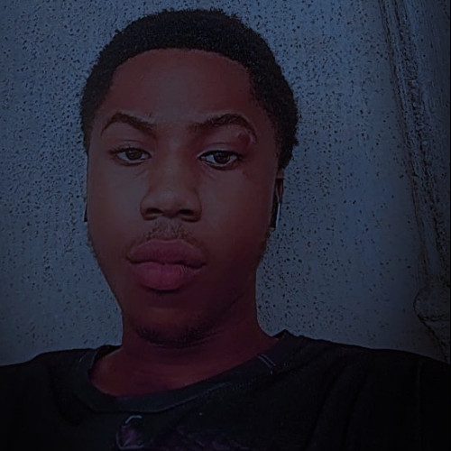 Chisom  I. profile photo