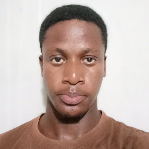 Strelli  D. profile photo