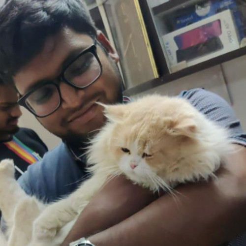 Manish N. profile photo