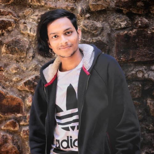 Hitesh S.