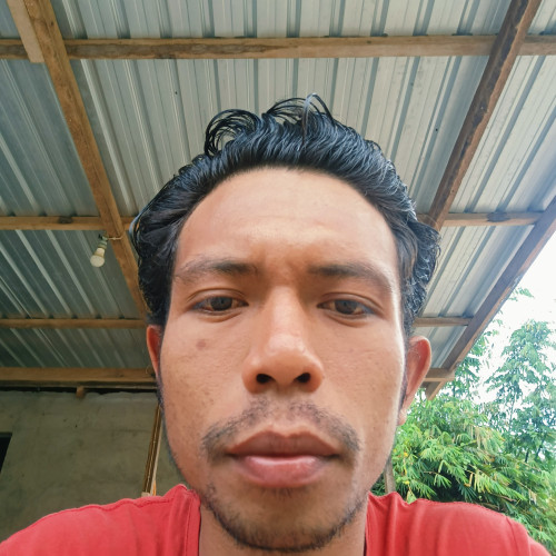 Ovan N. profile photo