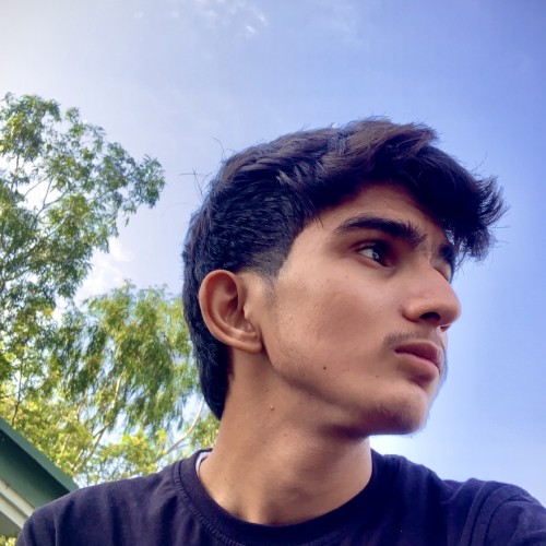 Diwanshu K.