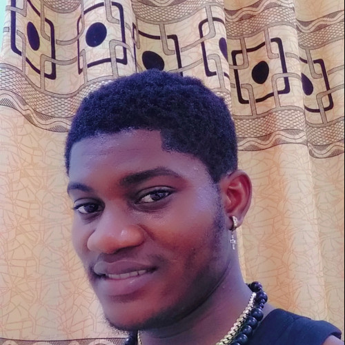 Emmanuel Akpenuchi E. profile photo