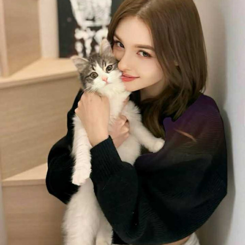 ayni k.