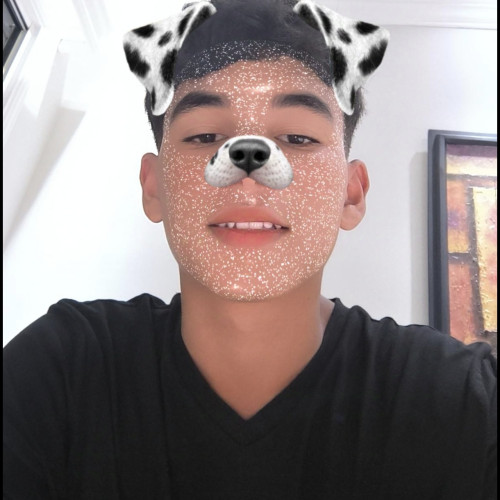 Denys p. profile photo